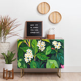 83 oranges beneath canopy credenza cabinet