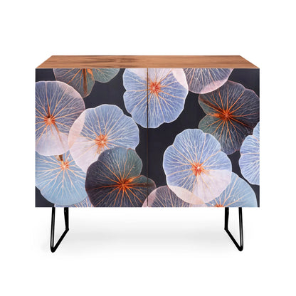 83 oranges translucence cabinet credenza