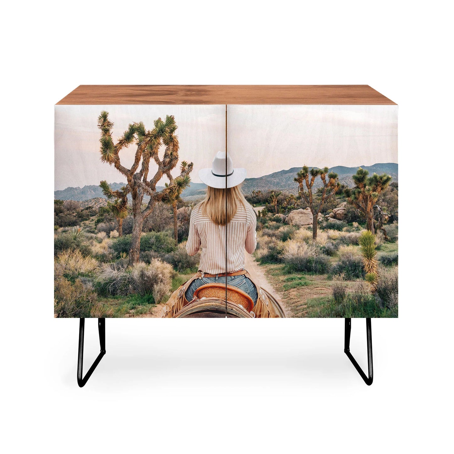 Desert cowgirl credenza cabinet